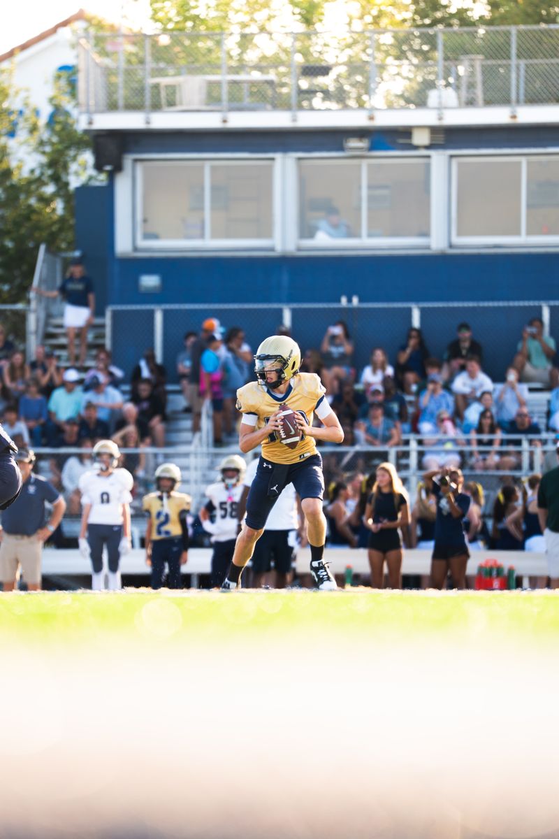 Football quarterback preparing a pass during a game